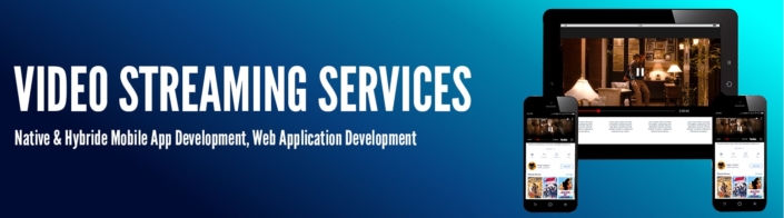 Hybrid App Development Services