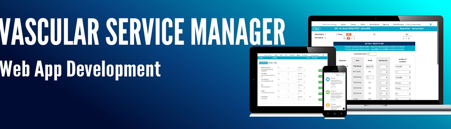 Web App Development Company in India
